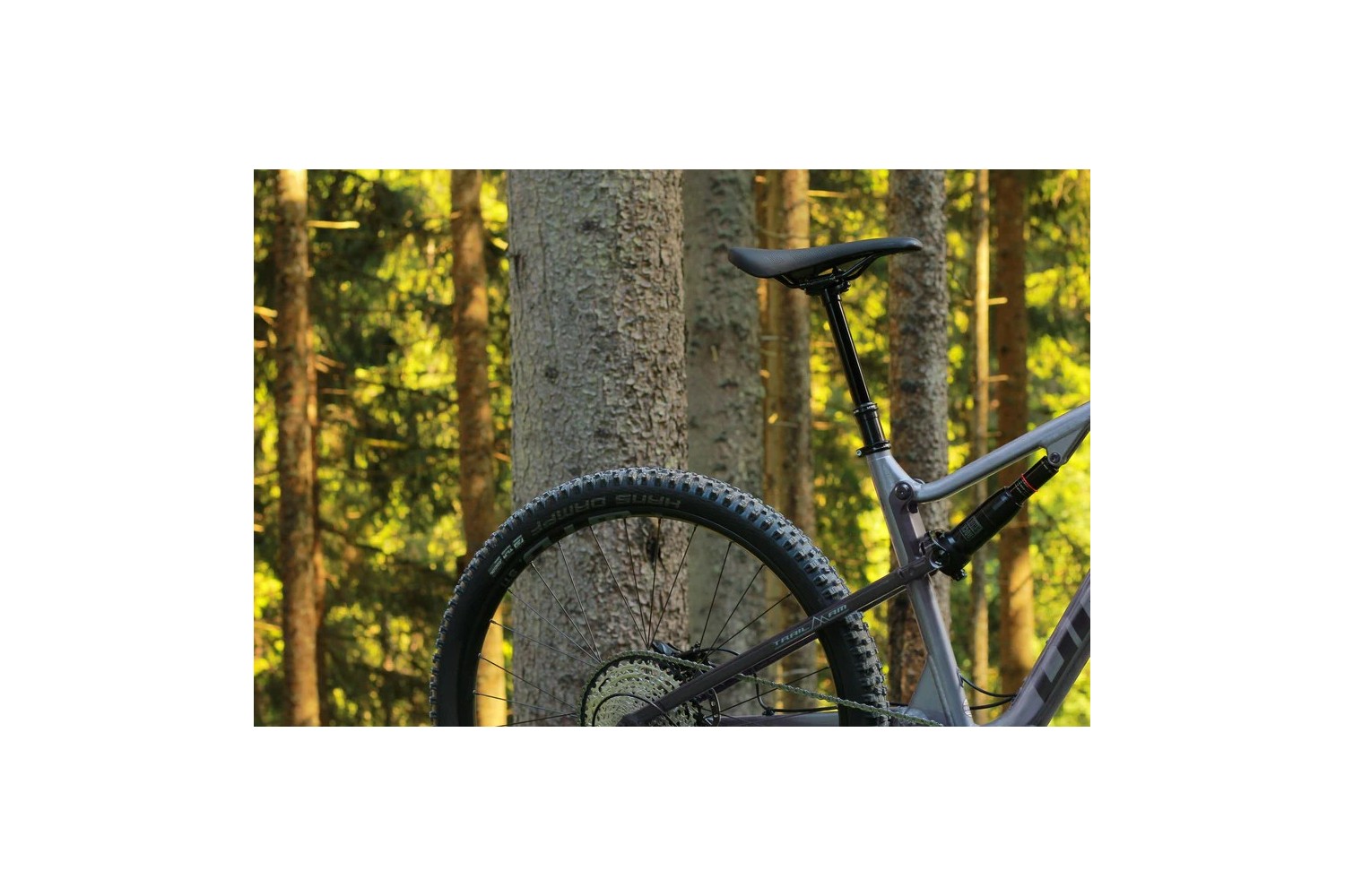 Drag Ronin TR 5.0 29"